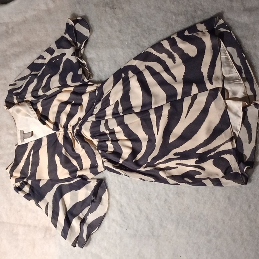 H&M Zebra Dress